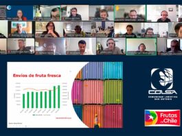 COLSA articula el éxito logístico: Puerto San Antonio listo para superar las 64,5 millones de cajas de cerezas de la temporada pasada COLSA articula el éxito logístico: Puerto San Antonio listo para superar las 64,5 millones de cajas de cerezas de la temporada pasada
