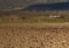 Segundo barómetro de robo agrícola