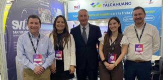 SVTI proyecta aumentar su participación en la exportación de fruta de la zona sur 