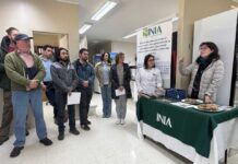 Taller sobre el manejo de la sarna polvorienta de la papa reunió a especialistas, asesores y productores en INIA Remehue