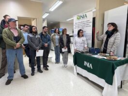 Taller sobre el manejo de la sarna polvorienta de la papa reunió a especialistas, asesores y productores en INIA Remehue Taller sobre el manejo de la sarna polvorienta de la papa reunió a especialistas, asesores y productores en INIA Remehue