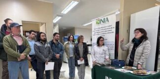 Taller sobre el manejo de la sarna polvorienta de la papa reunió a especialistas, asesores y productores en INIA Remehue Taller sobre el manejo de la sarna polvorienta de la papa reunió a especialistas, asesores y productores en INIA Remehue