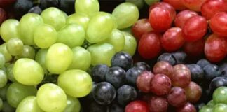 Temporada 2025-26: Exportaciones de variedades nuevas de uvas de mesa crecerán, alcanzando el 71% del total de los envíos