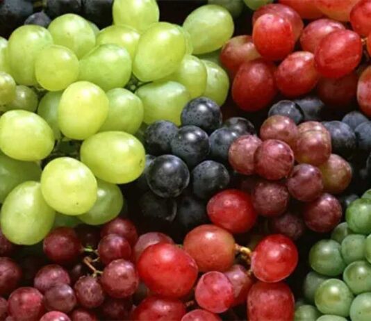 EE.UU: Systems Approach una herramienta estratégica para fortalecer la competitividad de la uva de mesa chilena