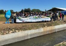 Temporada de riego en Biobío comenzó con entrega de $5.600 millones en bonificaciones para la eficiencia hídrica
