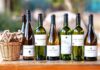 Viña Casa Marín es distinguido en Inglaterra como el “Mejor Productor de Chile”