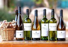 Viña Casa Marín es distinguido en Inglaterra como el “Mejor Productor de Chile”