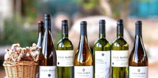 Viña Casa Marín es distinguido en Inglaterra como el “Mejor Productor de Chile”