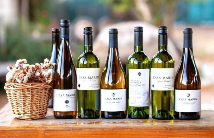 Viña Casa Marín es distinguido en Inglaterra como el “Mejor Productor de Chile”
