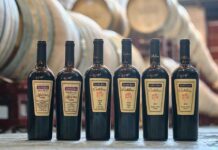 Viña Santa Ema celebra 30 años de Catalina, su vino ícono y testigo clave de su evolución como viña familiar con proyección global