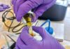 Vinculación académica fortalece la investigación en suelos con formación de capital humano avanzado Vinculación académica fortalece la investigación en suelos con formación de capital humano avanzado