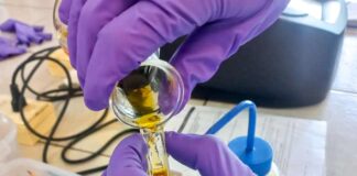 Vinculación académica fortalece la investigación en suelos con formación de capital humano avanzado