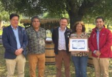 Vino, turismo y patrimonio: Chile y Ñuble reconocen a Viña El Quillay de Gladys Ponce Rosales