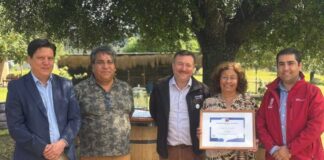 Vino, turismo y patrimonio: Chile y Ñuble reconocen a Viña El Quillay de Gladys Ponce Rosales