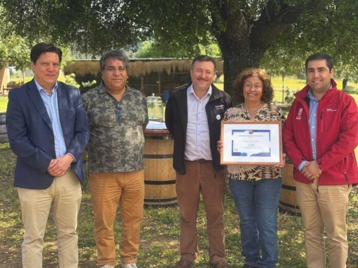 Vino, turismo y patrimonio: Chile y Ñuble reconocen a Viña El Quillay de Gladys Ponce Rosales