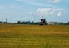 Webfleet Chile y Agrak lanzan dashboard Agrícola para mejorar toma de decisiones, productividad y ahorro de costos en el agro chileno