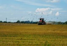 Webfleet Chile y Agrak lanzan dashboard Agrícola para mejorar toma de decisiones, productividad y ahorro de costos en el agro chileno