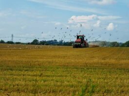 Webfleet Chile y Agrak lanzan dashboard Agrícola para mejorar toma de decisiones, productividad y ahorro de costos en el agro chileno