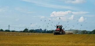 Webfleet Chile y Agrak lanzan dashboard Agrícola para mejorar toma de decisiones, productividad y ahorro de costos en el agro chileno