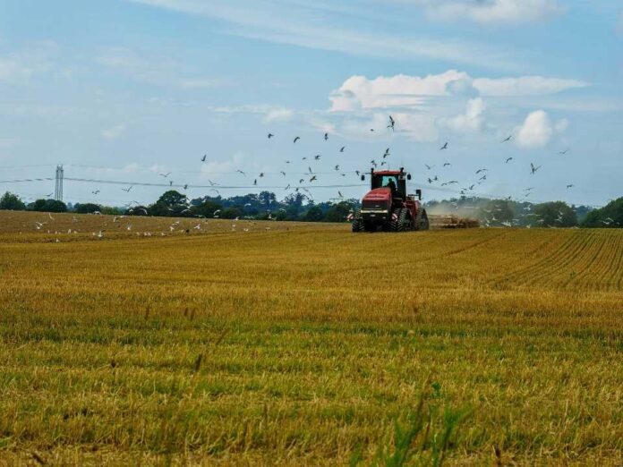 Webfleet Chile y Agrak lanzan dashboard Agrícola para mejorar toma de decisiones, productividad y ahorro de costos en el agro chileno
