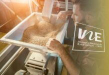 INE Biobío publica cifras de molienda de trigo correspondiente a septiembre de 2025 cifras de molienda de trigo, INE