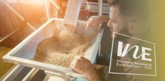 INE Biobío publica cifras de molienda de trigo correspondiente a septiembre de 2025 cifras de molienda de trigo, INE