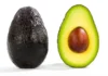 Palta chilena consolida su mejor ciclo en 15 años: Proyección 2025-26 mantiene techo productivo y empuje exportador
