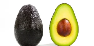 Palta chilena consolida su mejor ciclo en 15 años: Proyección 2025-26 mantiene techo productivo y empuje exportador