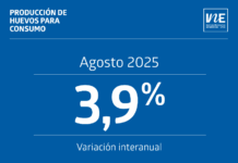 La producción de huevos de consumo presentó un aumento interanual de 3,9% en agosto de 2025
