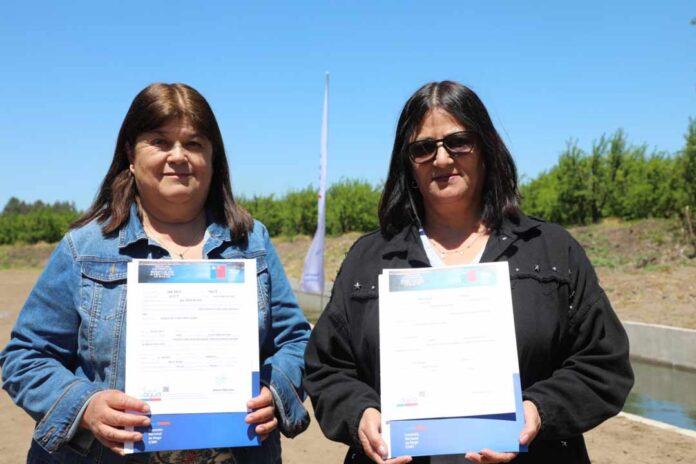 Región de O’Higgins: Inicia temporada de riego 2025-2026 con inauguración de obras en el Canal Colchagua y bonificaciones por cerca de $5.000 millones