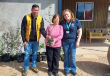 Vista Hermosa dona 500 árboles nativos a comunidades de San Javier