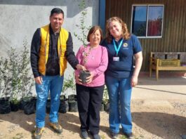 Vista Hermosa dona 500 árboles nativos a comunidades de San Javier