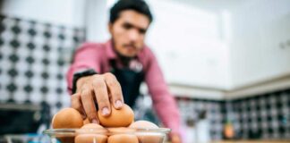 Advierten riesgo de salmonella en huevos sin control sanitario Advierten riesgo de salmonella en huevos sin control sanitario