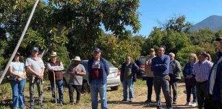Agricultores de Aconcagua fortalecen su capacidad técnica en operación y mantención de sistemas de riego para mejorar la eficiencia hídrica