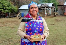 Alto Biobío es reconocida como nuevo sitio del Patrimonio Agrícola Mundial por parte de la FAO Alto Biobío es reconocida como nuevo sitio del Patrimonio Agrícola Mundial por parte de la FAO