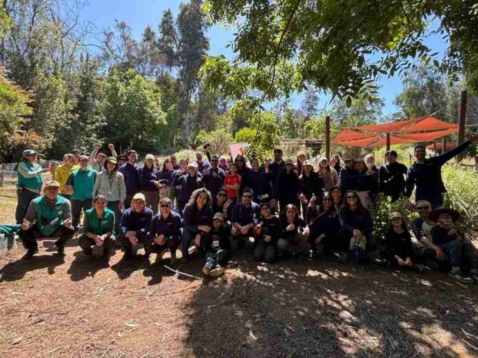 Arcadis Chile promueve la biodiversidad urbana con la creación de un jardín polinizador en Santiago (1) Arcadis Chile promueve la biodiversidad urbana con la creación de un jardín polinizador en Santiago