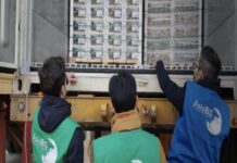 Asia IBS lidera la inspección 4.0: Inteligencia Artificial y calidad para una agricultura más competitiva