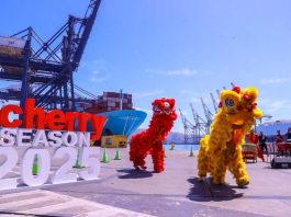 Autoridades y sector privado dan inicio a la temporada de cerezas con la mayor cantidad de servicios directos hacia Asia