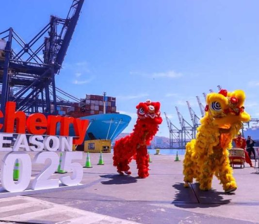 Autoridades y sector privado dan inicio a la temporada de cerezas con la mayor cantidad de servicios directos hacia Asia