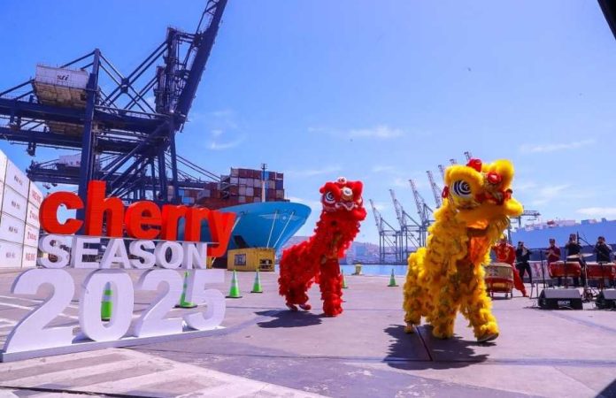Autoridades y sector privado dan inicio a la temporada de cerezas con la mayor cantidad de servicios directos hacia Asia