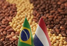 BCSEM fortalece lazos con los Países Bajos para impulsar la cooperación en semillas