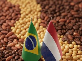 BCSEM fortalece lazos con los Países Bajos para impulsar la cooperación en semillas BCSEM fortalece lazos con los Países Bajos para impulsar la cooperación en semillas