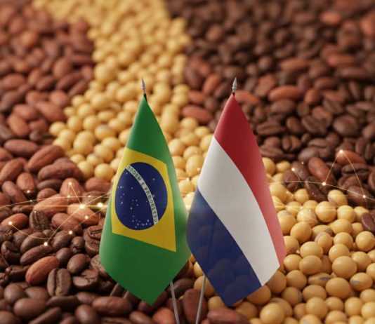 BCSEM fortalece lazos con los Países Bajos para impulsar la cooperación en semillas BCSEM fortalece lazos con los Países Bajos para impulsar la cooperación en semillas