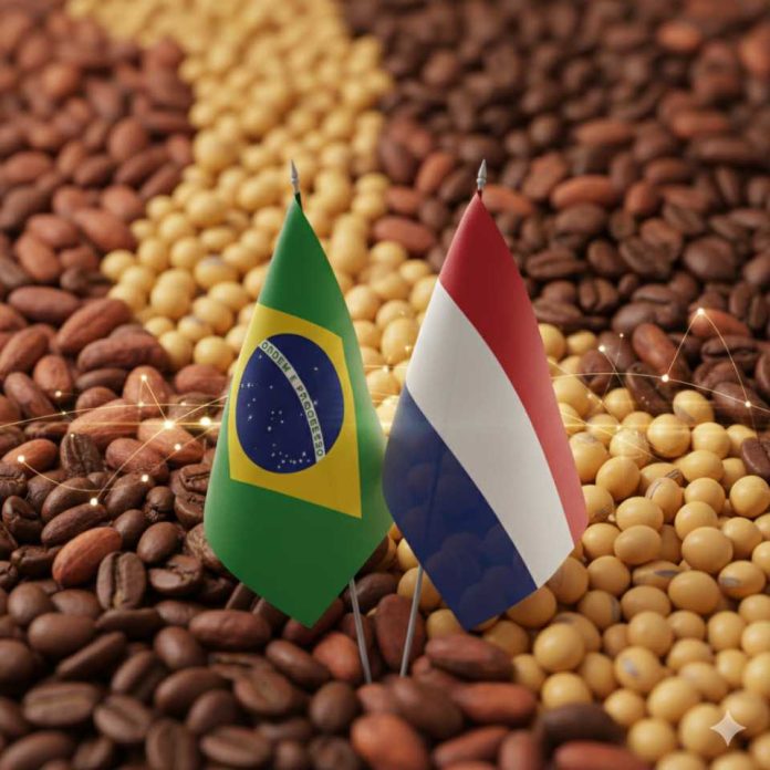 BCSEM fortalece lazos con los Países Bajos para impulsar la cooperación en semillas