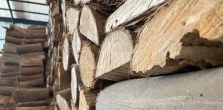 Biobío hace el llamado a postular al Sello Calidad de Leña para fortalecer el mercado y mejorar la calidad del aire en la región