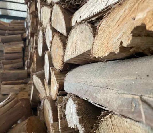 Biobío hace el llamado a postular al Sello Calidad de Leña para fortalecer el mercado y mejorar la calidad del aire en la región