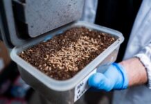 ByBug: la startup que utiliza insectos para el tratamiento de residuos orgánicos y la prevención de enfermedades en la industria animal ByBug: la startup que utiliza insectos para el tratamiento de residuos orgánicos y la prevención de enfermedades en la industria animal