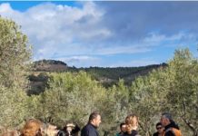 Sentando las bases del futuro de la agricultura de carbono en Europa Sentando las bases del futuro de la agricultura de carbono en Europa