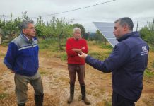 CNR impulsa mejoras en riego para fortalecer a la pequeña agricultura en Coquimbo CNR impulsa mejoras en riego para fortalecer a la pequeña agricultura en Coquimbo