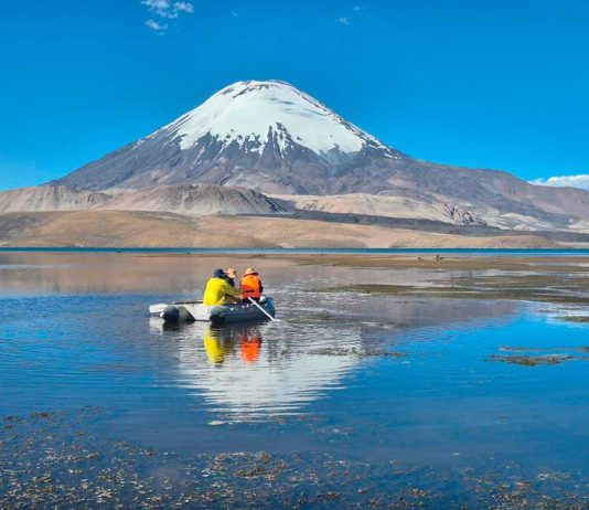 CONAF aceleró limpieza del Lago Chungará con apoyo de dos embarcaciones y contratación de empresa para extracción de aceite de soya